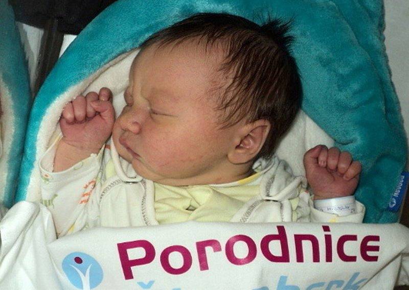 Miroslav Blecha, Dlouhá Loučka,  narozen 24. února 2020 míra 54 cm, váha 4530 g