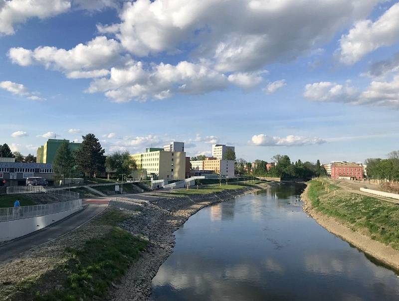 Proměna břehu řeky Moravy u VŠ kolejí v Olomouci mezi mosty na Masarykově třídě a třídě Kosmonautů. Začátek května 2020