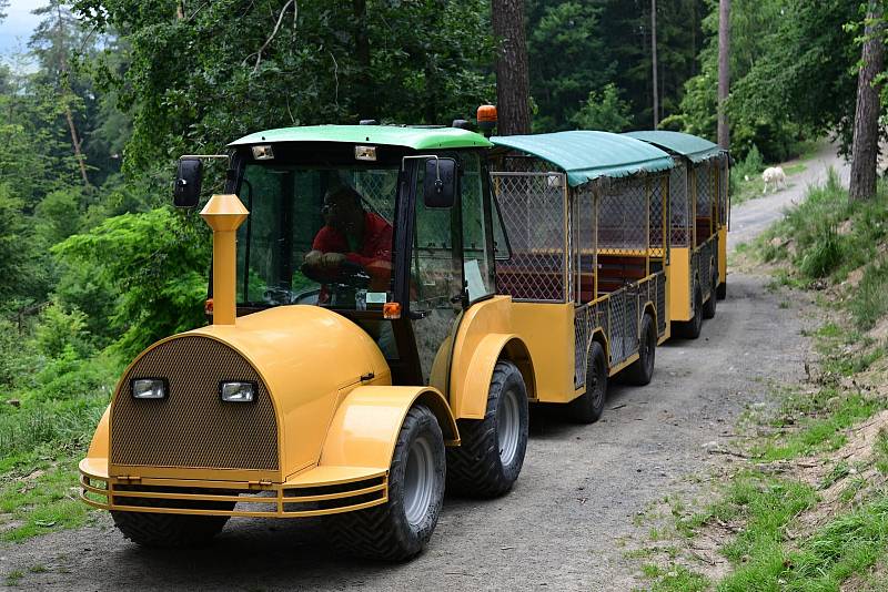 Safari Amerika v olomoucké zoo na Svatém Kopečku, 17. 6. 2020