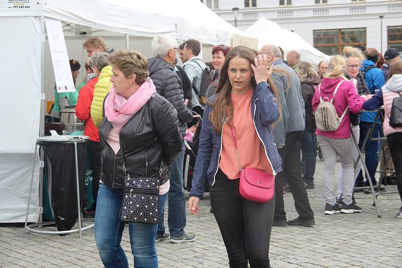 Čtvrtý ročník oblíbeného Tvarůžkového festivalu v centru Olomouce