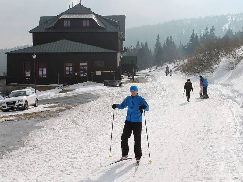 Jaro pod Pradědem - okolí Ovčárny uprostřed března 2014