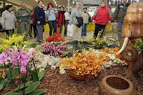 Jarní výstava Flora Olomouc v pavilonu A