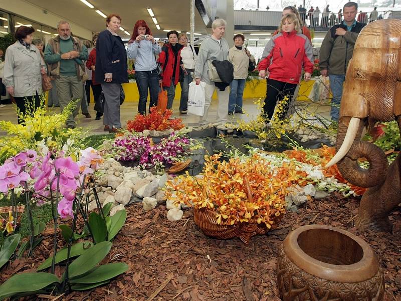 Jarní výstava Flora Olomouc v pavilonu A