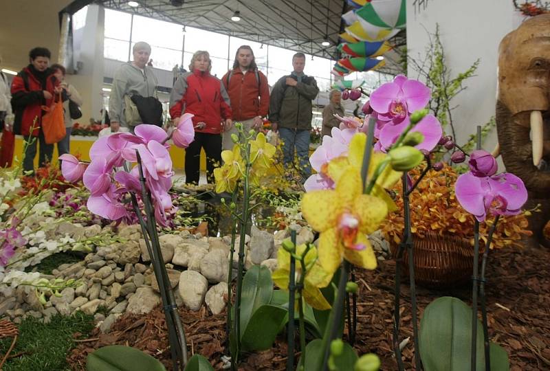 Jarní výstava Flora Olomouc v pavilonu A