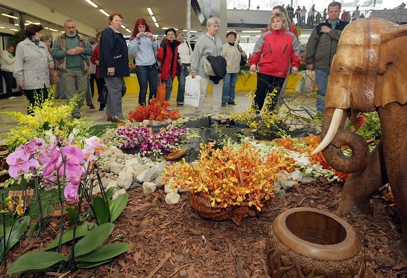 Jarní výstava Flora Olomouc v pavilonu A