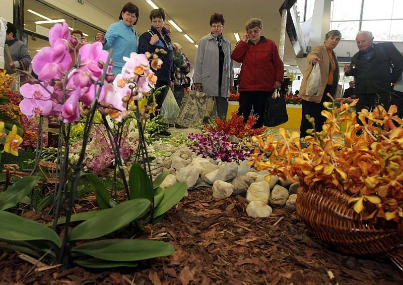 Jarní výstava Flora Olomouc v pavilonu A