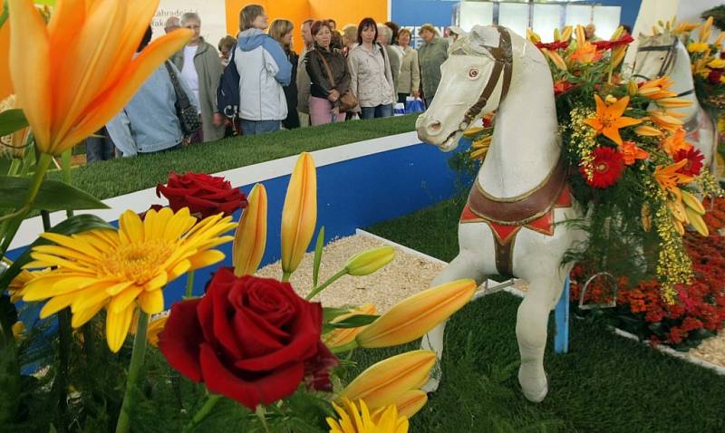 Jarní výstava Flora Olomouc v pavilonu A