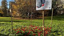 V Bezručových sadech v Olomouci vyrostl záhon vlčích máků, 6. listopadu 2022