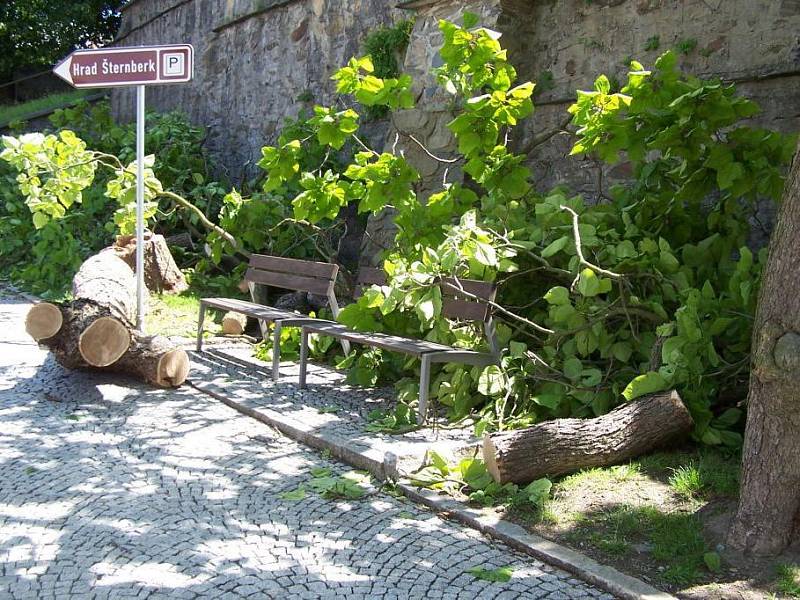 Větrem narušený strom u šternberského gymnázia museli pokácet