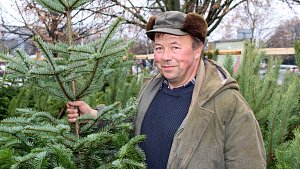 Vánoční stromky prodává Petr Kovářík na olomoucké tržnici už třicet let. Lidé si u něj kupují také jmelí, chvojí nebo vánoční vazby a svícny