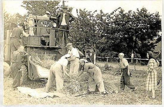 Začátky JZD v Přáslavicích v roce 1954. Mlácení „Za Frankovým“ za účasti členů JZD. Mlácení prováděla Strojní traktorová stanice (STS) Olomouc, pobočka ve Velké Bystřici.