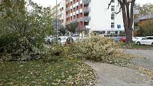 Řádění silného větru v Olomouckém kraji - 30. 10. 2018