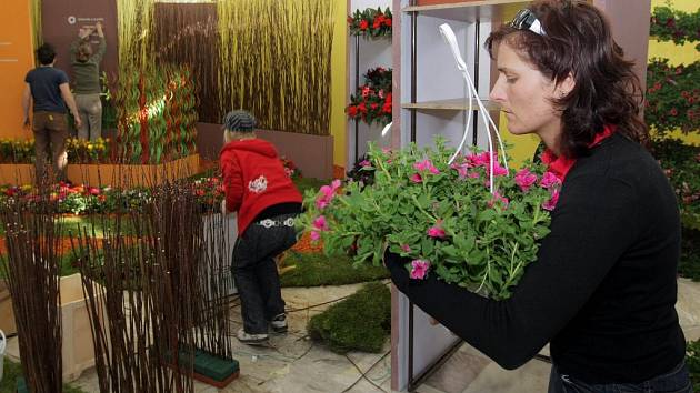 Poslední přípravy před startem 50. ročníku květinové výstavy Flora Olomouc.