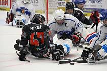 První zářijový víkend proběhl na olomouckém zimním stadiónu mezinárodní turnaj v para hokeji.