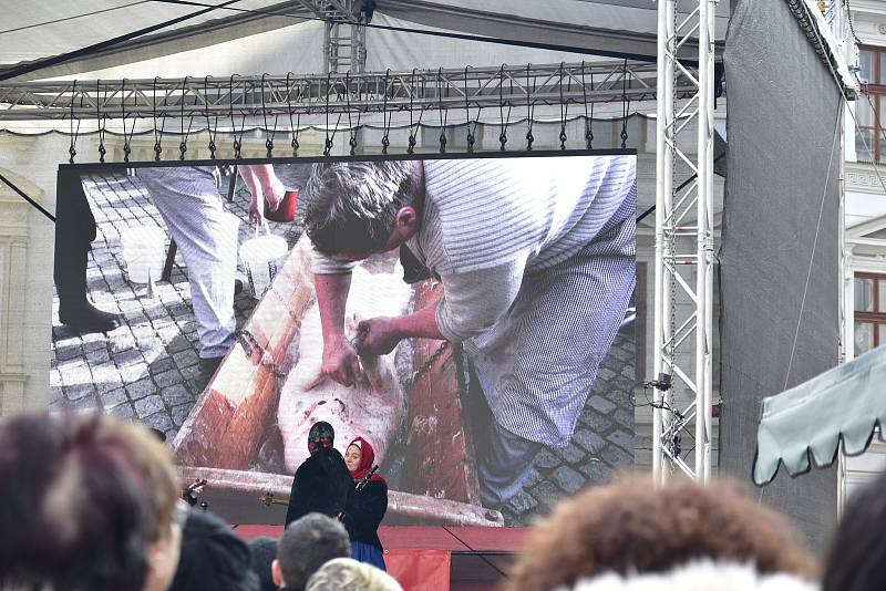 Masopustní veselí v Olomouci, 15. 2. 2020