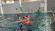 Studie krytého plaveckého bazénu ve Šternberku, jejímž autorem je Ing. arch. Jaroslav Ševčík, řeší návrh krytého bazénu, který obsahuje víceúčelový 25 metrový bazén se šesti dráhami, rekreační a dětskou částí a wellness s celoročním provozem