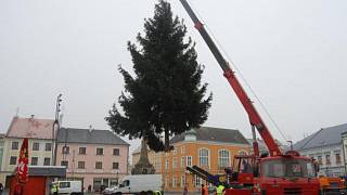 Vánoční stromy v Litovli, Uničově a Šternberku se rozzáří příští týden -  Olomoucký deník