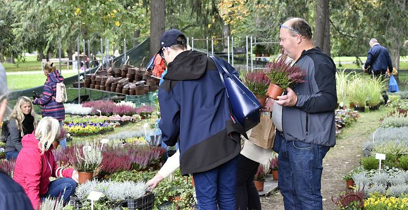 Olomoucká Flora nabídla rozmanitost podzimních barev. 1.10. 2022