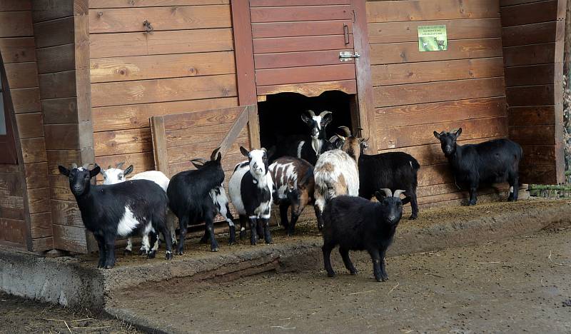 Uzavřená Zoo Olomouc na začátku února 2021