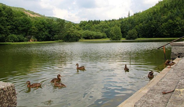 Koupaliště v Dolním Žlebu u Šternberka