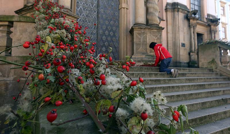 Výzdoba olomouckých památek v rámci výstavy podzimní Flora 2019