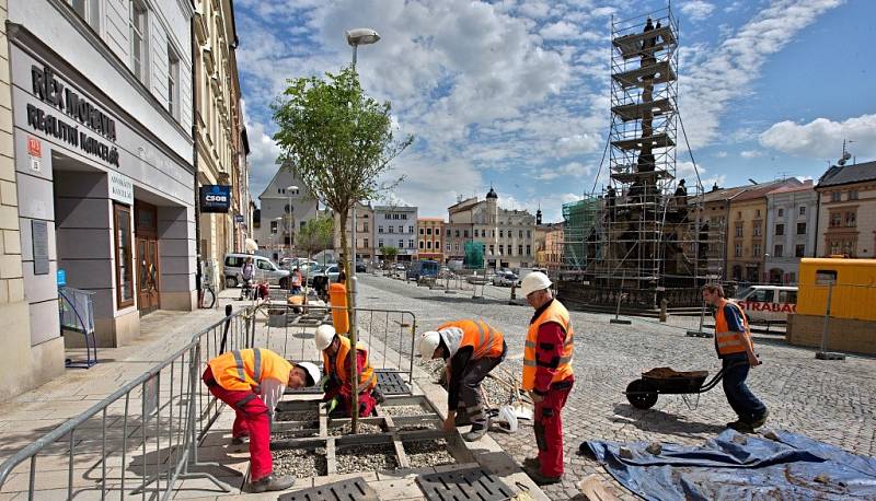 Sázení nových stromů v rámci rekonstrukce Dolního náměstí v Olomouci. Zajímavostí je automatické zavlažování