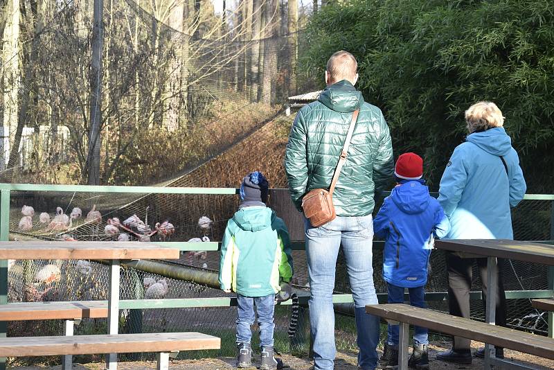 Zoologická zahrada na Svatém Kopečku v Olomouci, 5. 12. 2020