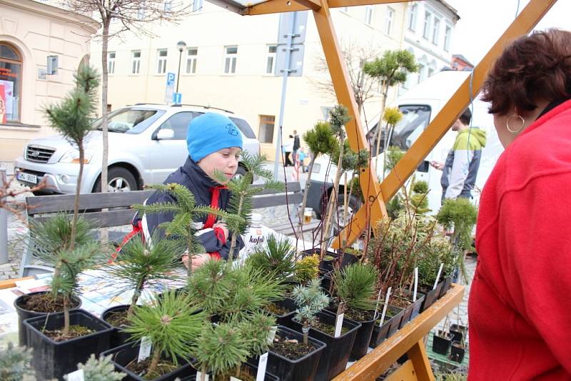 Originální moučníky z tvarůžkové cukrárny, pečivo, ale třeba i ovocné stromky a růže nabídl v sobotu 13. dubna další z Venkovských trhů ve Šternberku na Olomoucku.