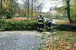 Odstraňováním následků silného větru v Olomouckém kraji.