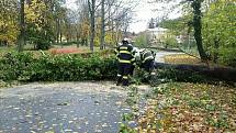 Odstraňováním následků silného větru v Olomouckém kraji.