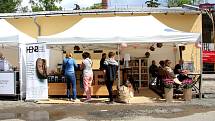 Stovky lidí zaplnily v sobotu Smetanovy sady Výstaviště Flora Olomouc. Přilákal je tam už druhý ročník dobrého jídla a pití Garden Food Festival.