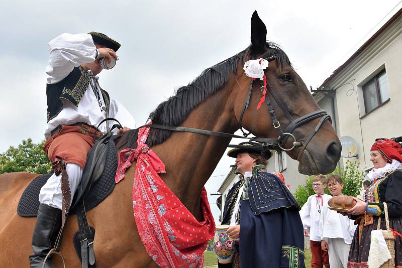 Jízda králů 2019 v Doloplazech na Olomoucku, 7. 7. 2019