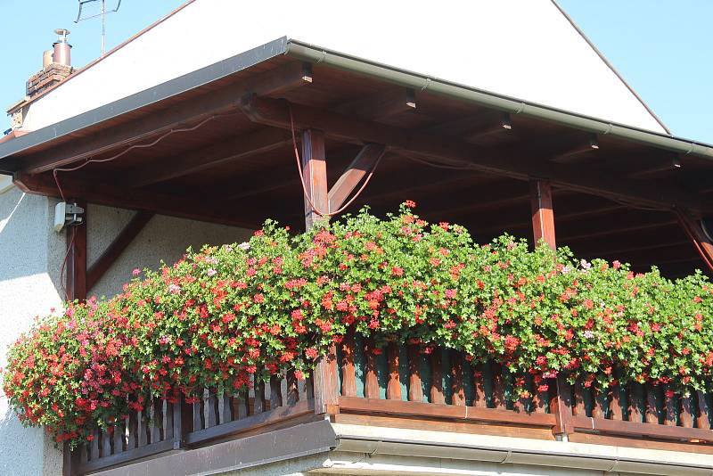 Květinový balkon domu Jiřího Kubíčka z Olšan u Prostějova, srpen 2022