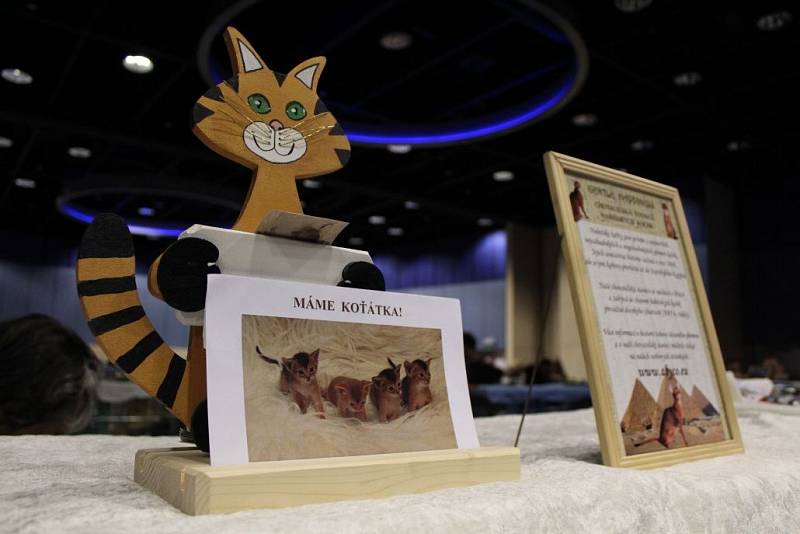 Mezinárodní výstava koček v olomouckém hotelu Clarion