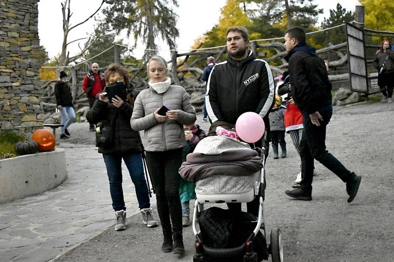 Večer duchů v olomoucké zoo, 23. října 2021