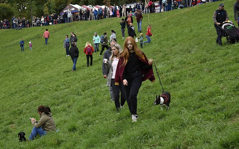 Svátek krajských zemědělců v podobě Dožínek se konal v Náměšti na Hané, 19. 9. 2021