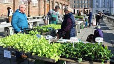 Na olomouckou tržnici se po zimě opět vracejí prodejci květin a zeleniny. 13. března 2024