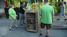 Stěhování medvědů z olomoucké zoo do Českého Krumlova