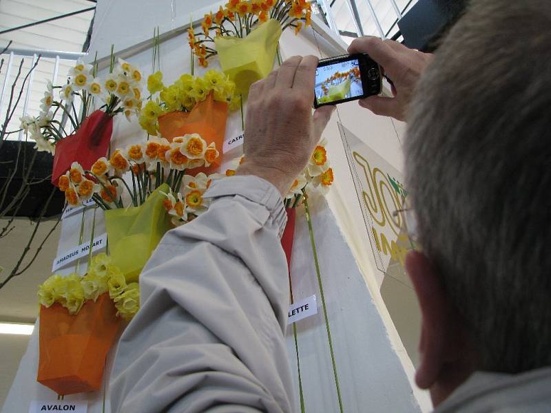 Výstava květin Flora Olomouc. V pavilonu A.