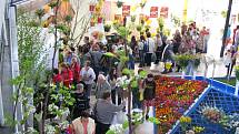 Výstava květin Flora Olomouc. V pavilonu A.