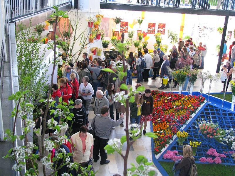 Výstava květin Flora Olomouc. V pavilonu A.