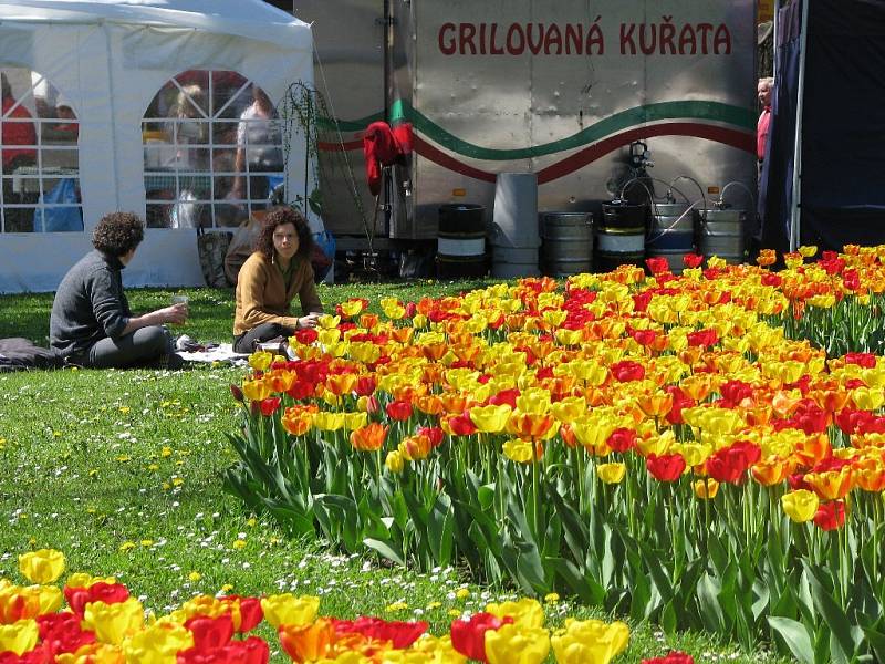 Výstava květin Flora Olomouc