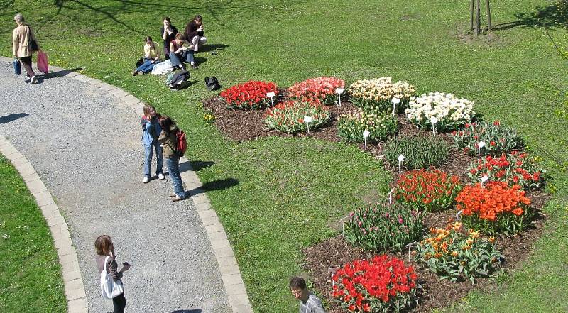 Výstava květin Flora Olomouc