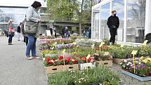 Selské trhy na Výstavišti Flora Olomouc, 7. 5. 2021