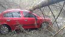 Na auto v Huzové spadl kvůli silnému větru strom