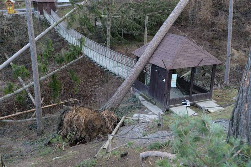 Následky vichru z 10. na 11. 3. 2019 v olomoucké zoo. Lávka ve výběhu makaků