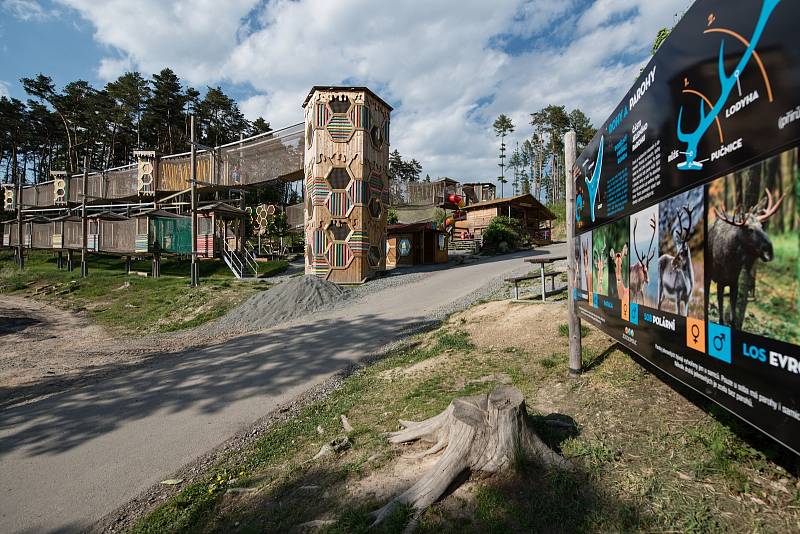 Hezké počasí a bezpočet čerstvě narozených mláďat jsou výzvou k procházce po zoo.