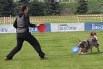 Mezinárodní závody Key DiscDog Freestyle o víkendu představují v Olomouci sport dogfrisbee.