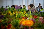 Jarní Flora Olomouc 2022. Hlavní expozice v pavilonu A nese název Květy a světy