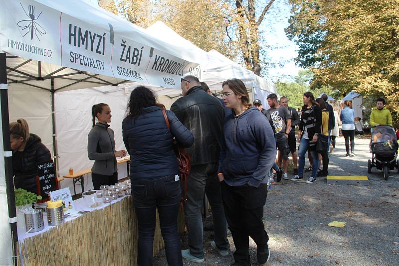 Festival plný netradičních pokrmů Extreme food festival v areálu Letního kina v Olomouci.